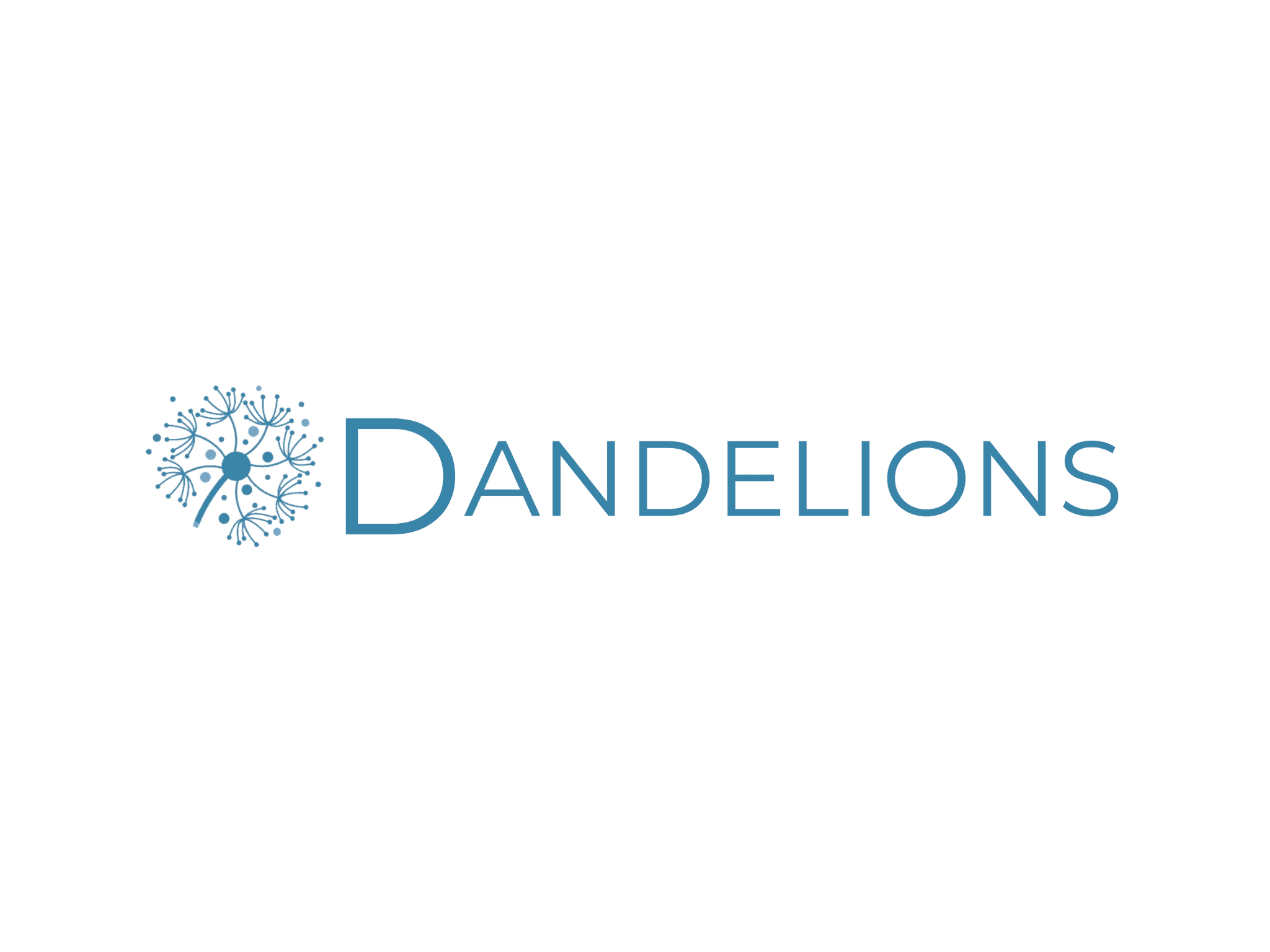 dandelions_4ad15c554d