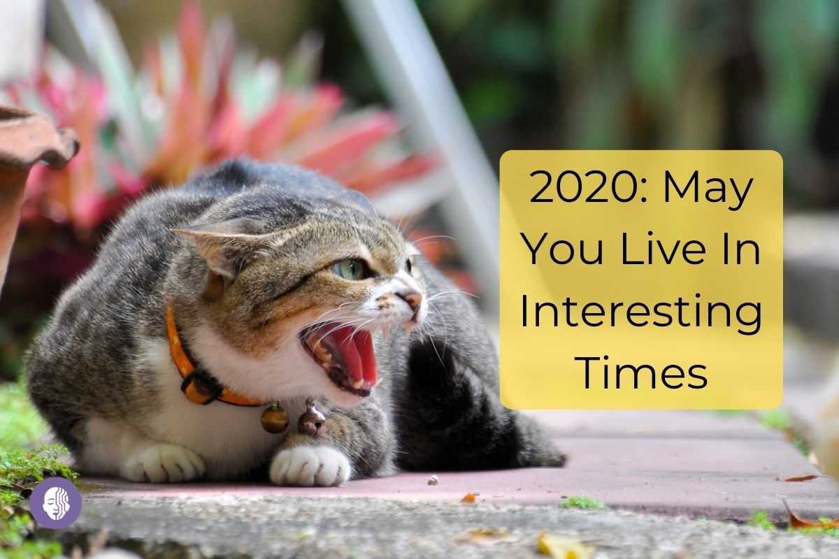 2020: May You Live In Interesting Times