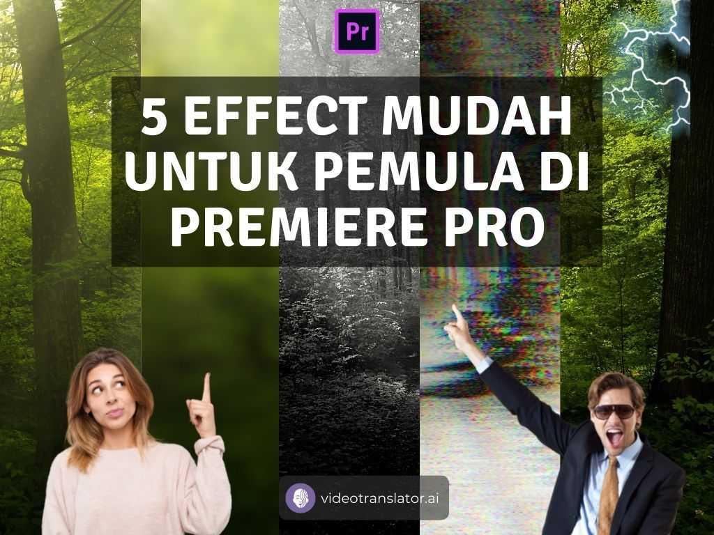 5 Effect Mudah Untuk Pemula Di Premiere Pro