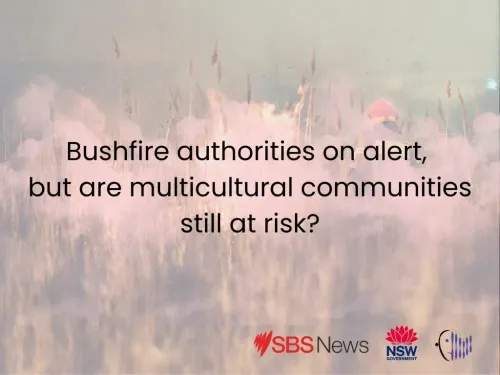 Bushfire authorities on alert - but are multicultural communities still at risk? 
